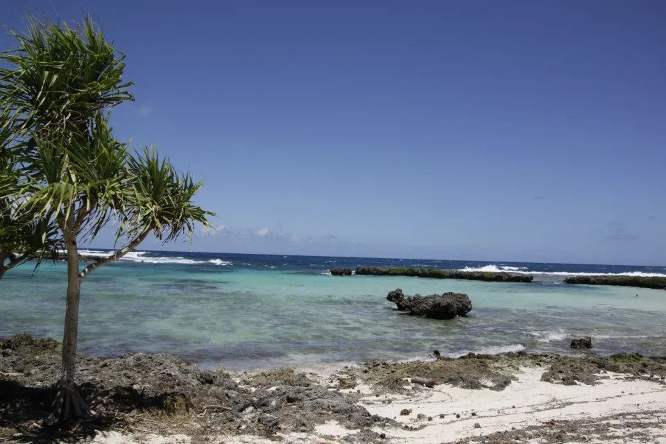 Strand mit Palme, schwarzen Felsen und türkisem Wasser