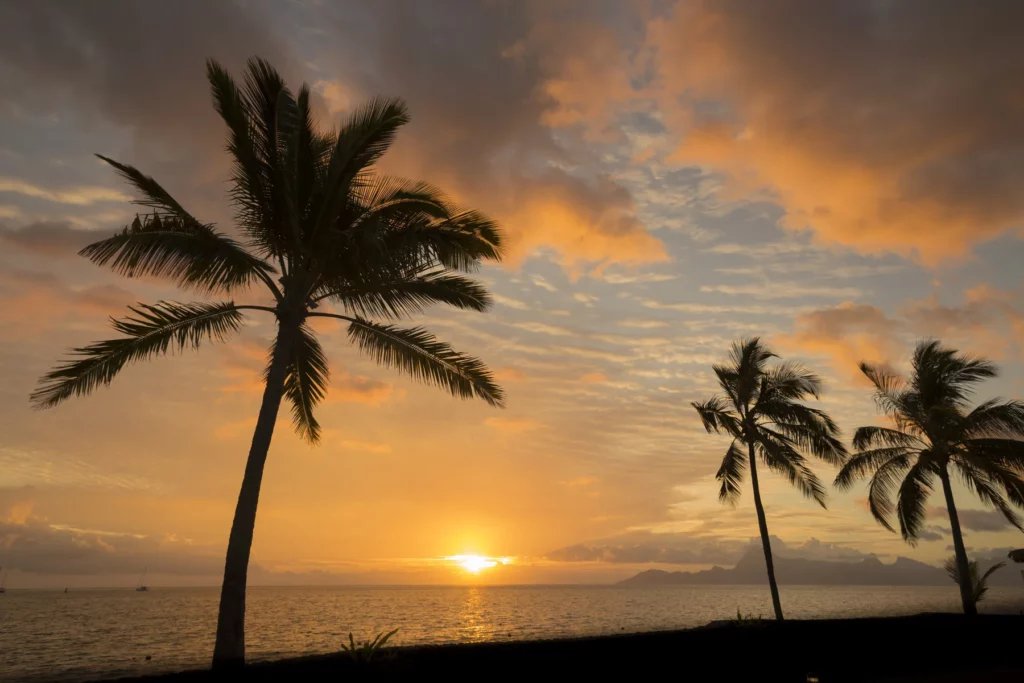 Palmen und Meer bei Sonnenuntergang in Tahiti