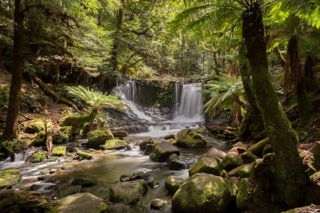 Wasserfall im Tasmanien Nationalpark
