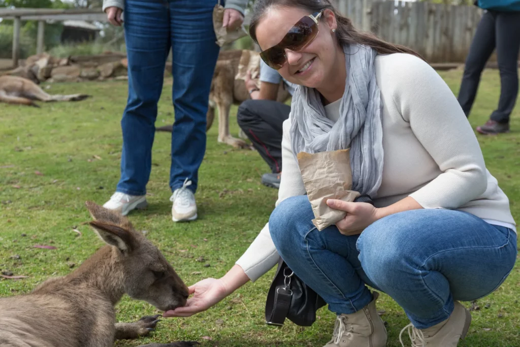 Melanie bei der Känguru-Fütterung