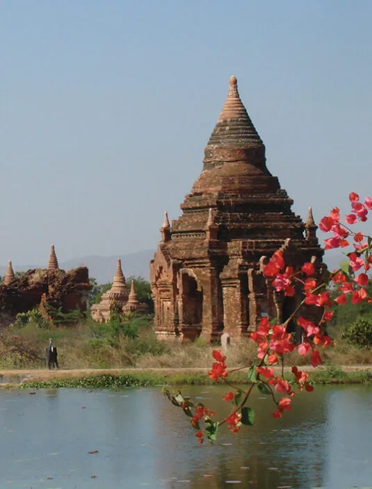 Asiatischer Tempel hinter Gewässer und rosa Blüten